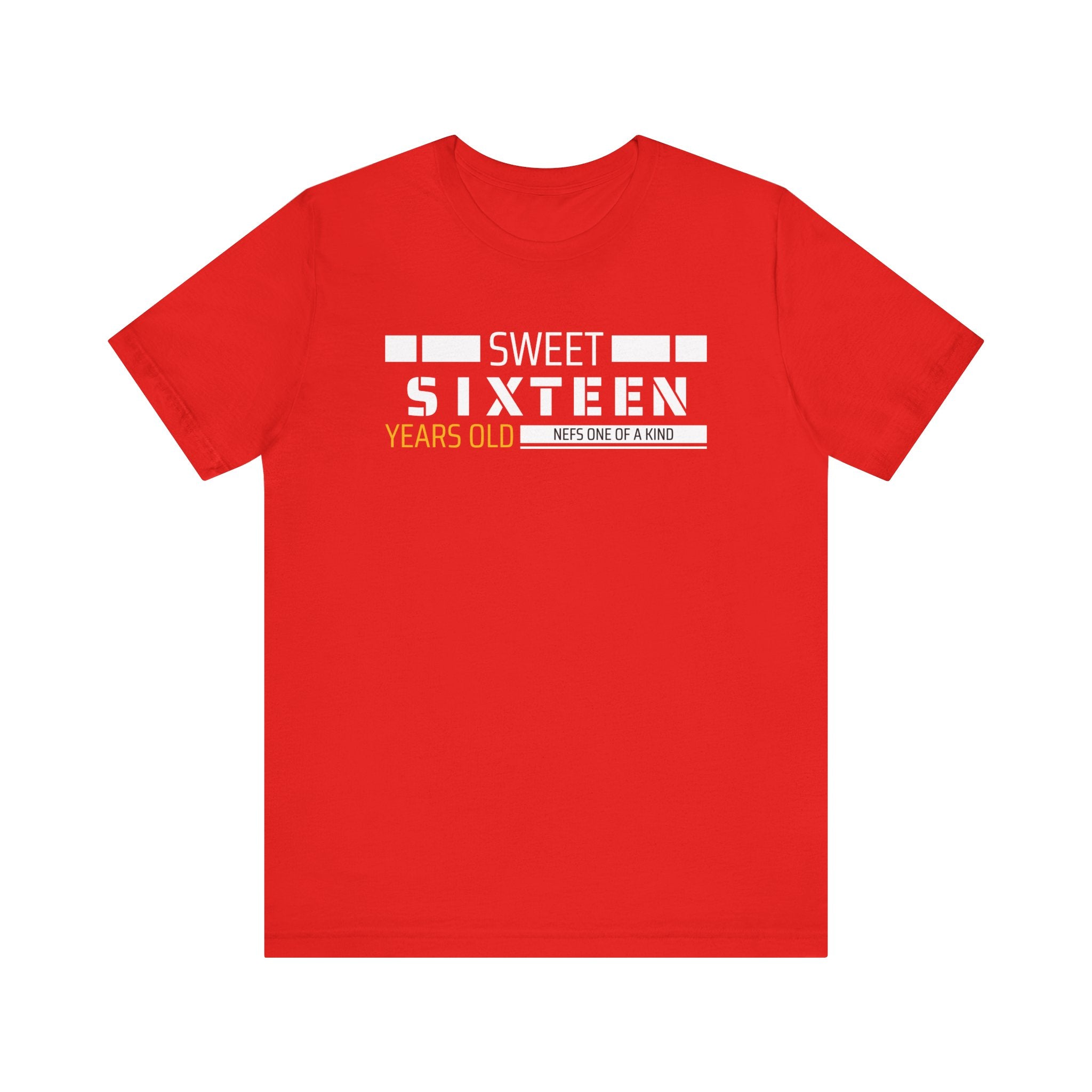 Sixteen year old Unisex Adult Tee